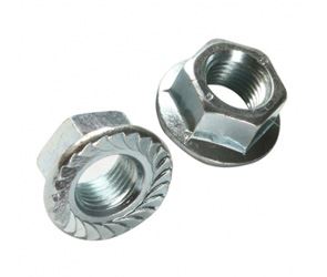 Flange Nut Manufacturer in India