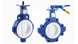 Butterfly Valves Manufacturer India