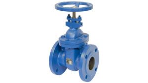 Gate Valves Manufacturer in India