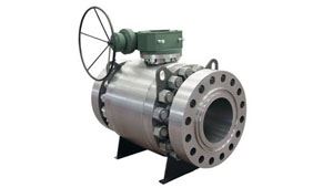 Trunnion Mounted Ball Valves Manufacturer India